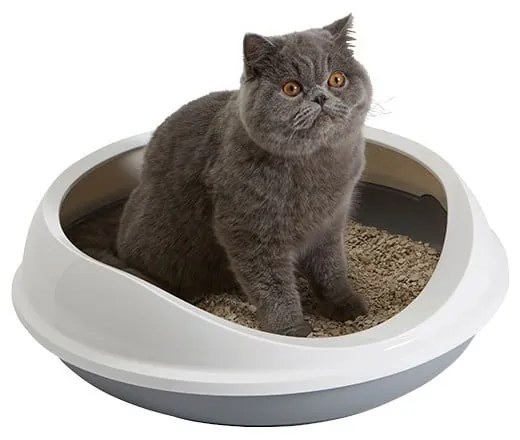 Bielo-sivý mačací záchod 49x55 cm Savic Figaro – Plaček Pet Products