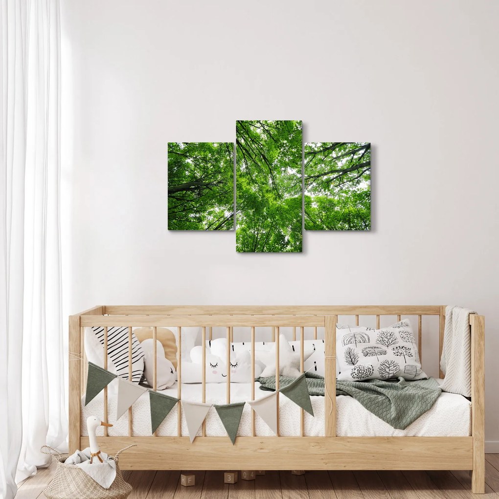 Obraz - Pohľad do korún stromov (90x60 cm)