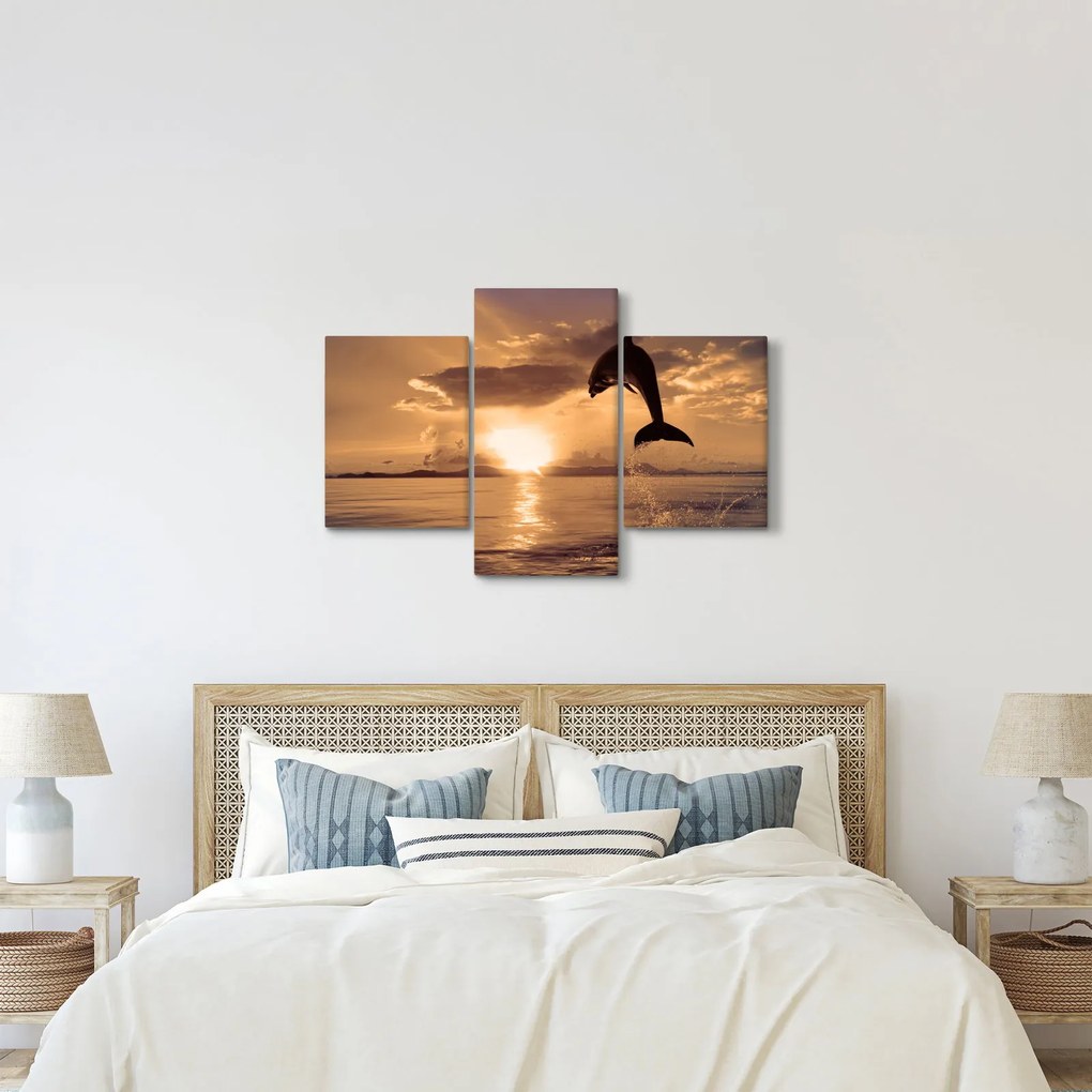 Obraz - Delfín pri západe slnka (90x60 cm)