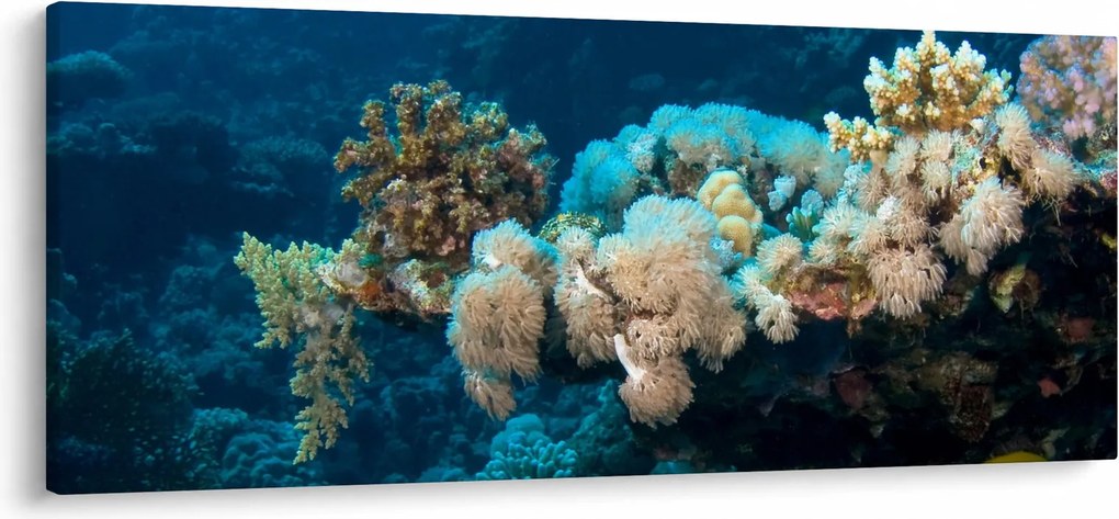 Obraz - V oceáne (120x50 cm)