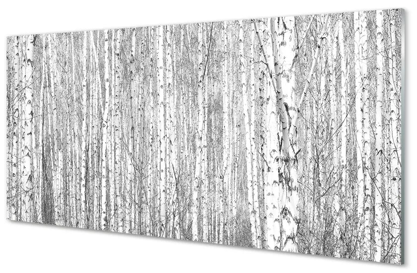 Sklenený obraz Čierna a biela strom les 100x50cm