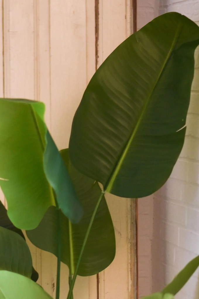 Umelý banánovník LORO, plast, výška 140 cm, zelená
