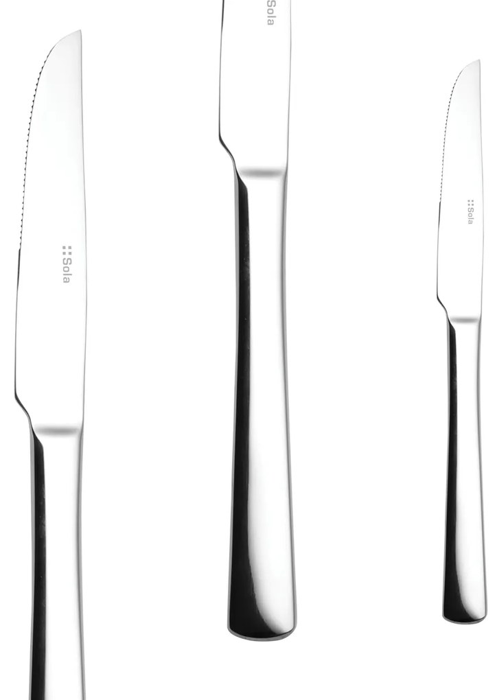 Steakový nôž 22,2 cm - Atlantic 2000 - 100156
