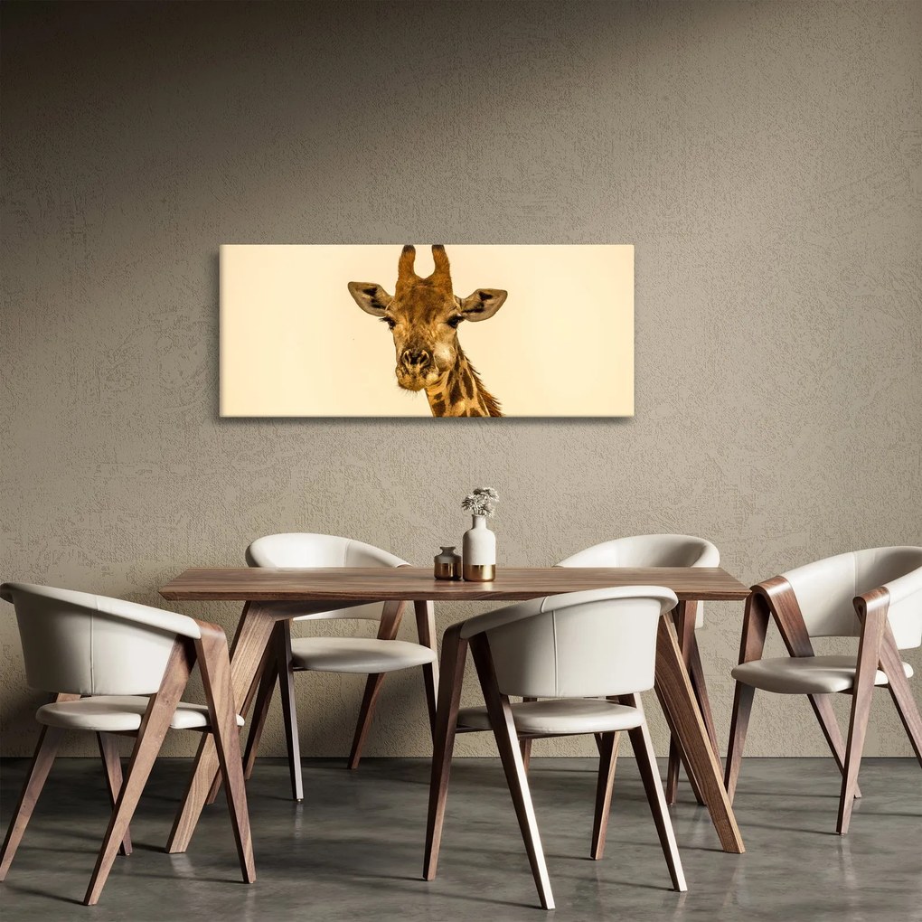 Obraz žirafy (120x50 cm)