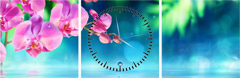 Obraz - Orchidea (s hodinami) (90x30 cm)