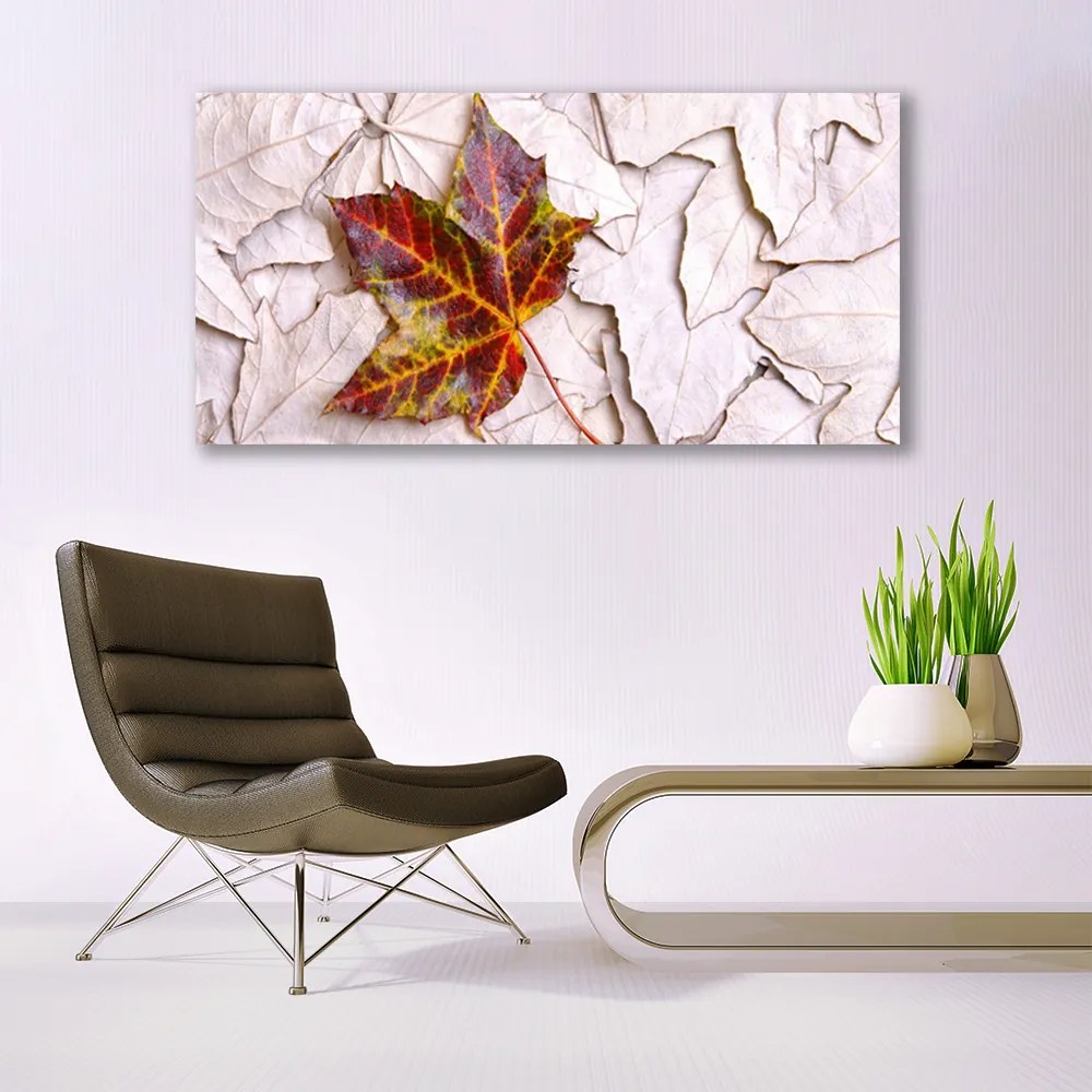Obraz na akrylátovom skle Listy rastlina 120x60 cm