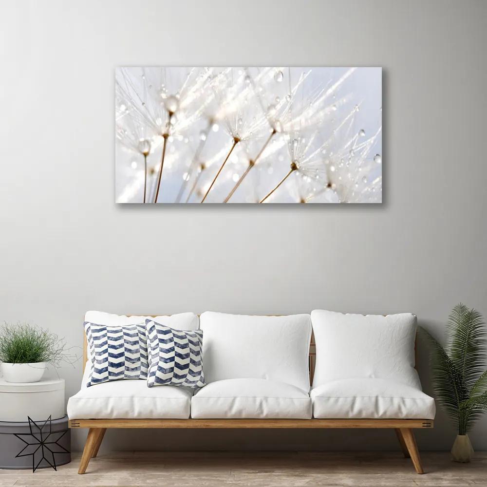 Obraz Canvas Púpava rastlina 100x50 cm