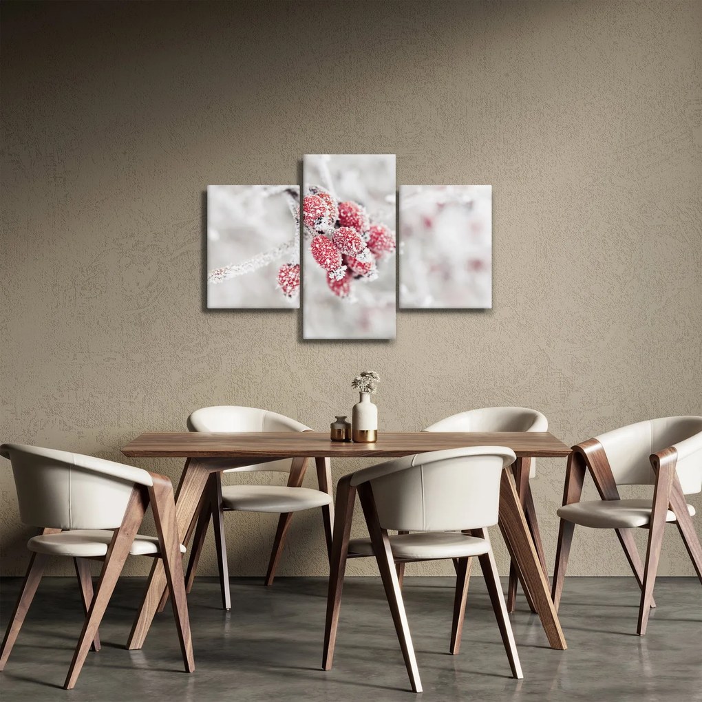 Obraz - Zamrznuté plody (90x60 cm)