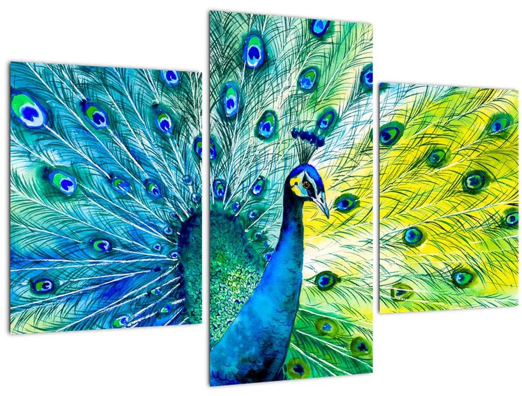 Obraz páva (90x60 cm)
