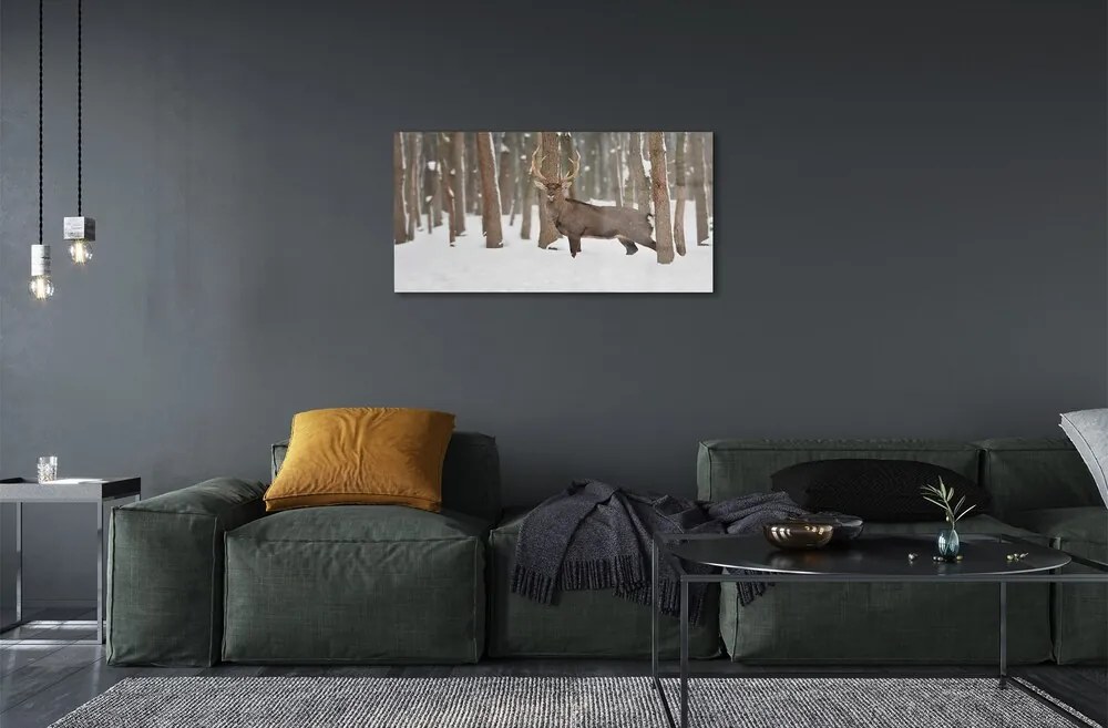 Sklenený obraz Jeleň zimné les 120x60 cm