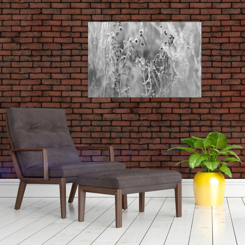 Obraz - Divoká lúka (90x60 cm)