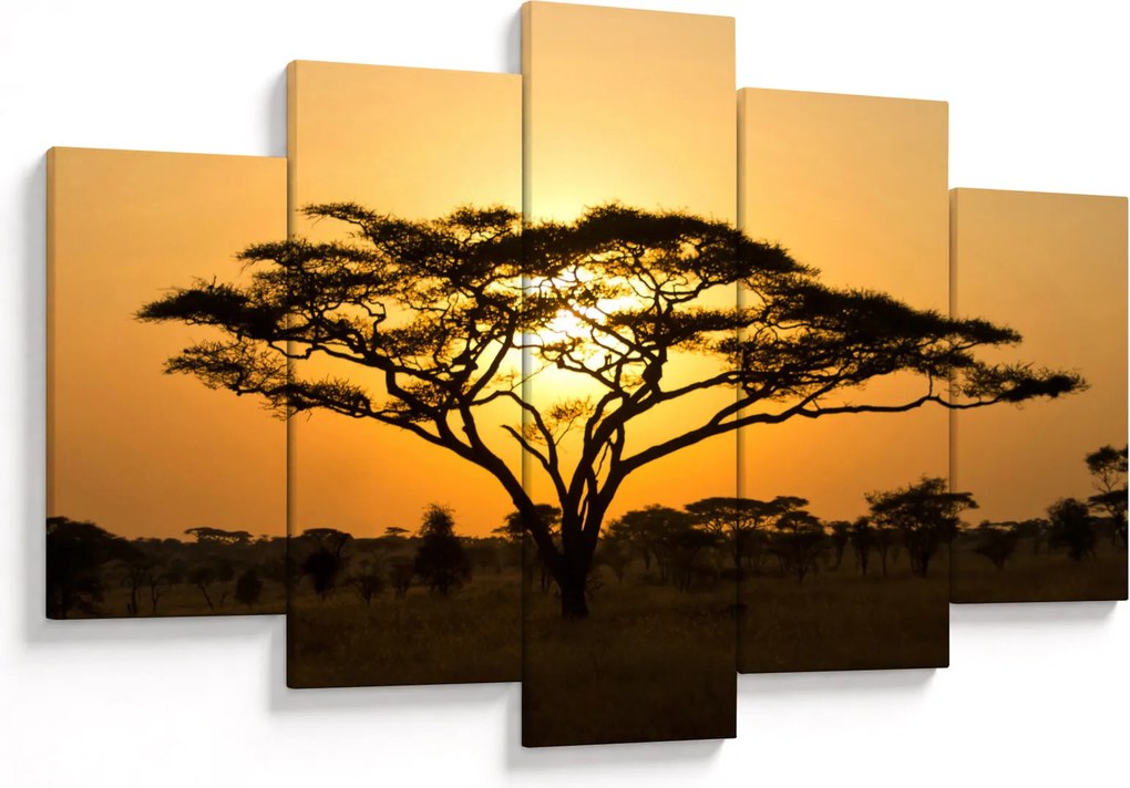 Obraz - Africká savana (150x105 cm)