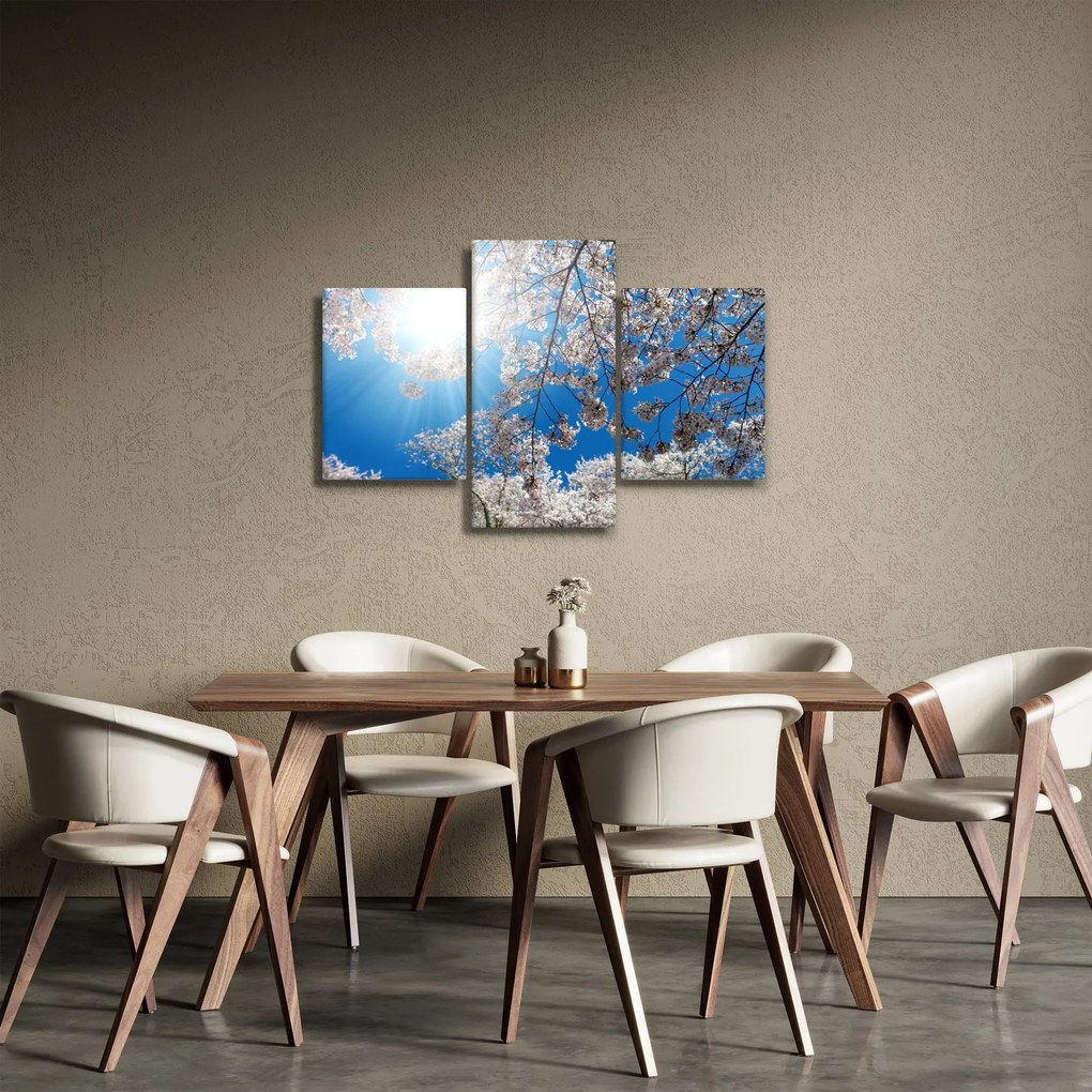 Obraz - Čerešňové kvety (90x60 cm)
