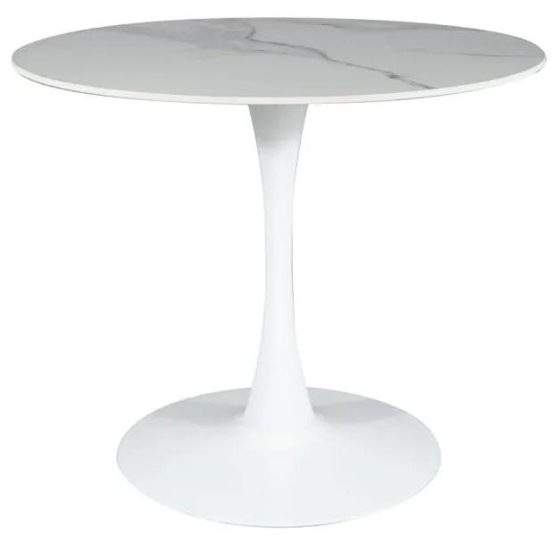 SIGNAL MEBLE Jedálenský stôl ESPERO WHITE