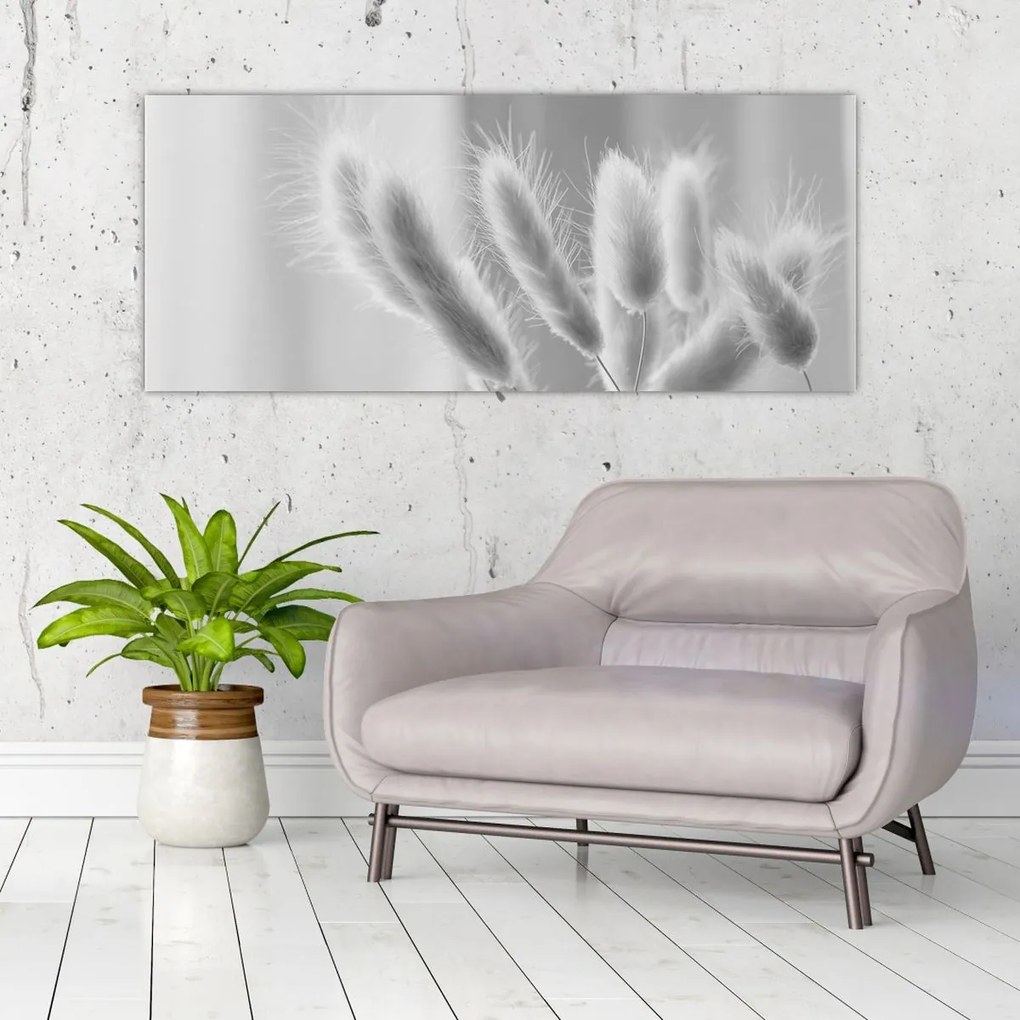 Obraz - Bunny tail grass (120x50 cm)