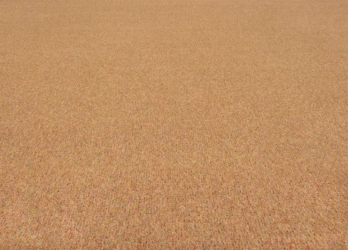 Koberce Breno Metrážny koberec VIRTUOSE 23, šíře role 400 cm, oranžová, viacfarebná