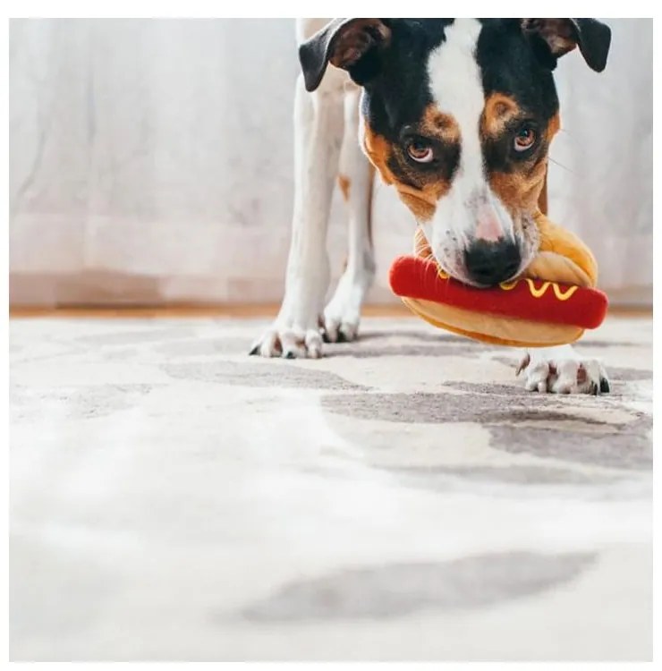 Hračka pre psa Hot Dog – P.L.A.Y.
