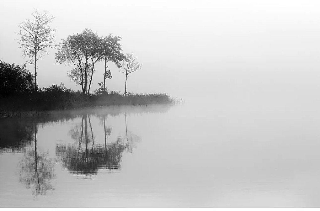 Plátno maľba By the Lake I