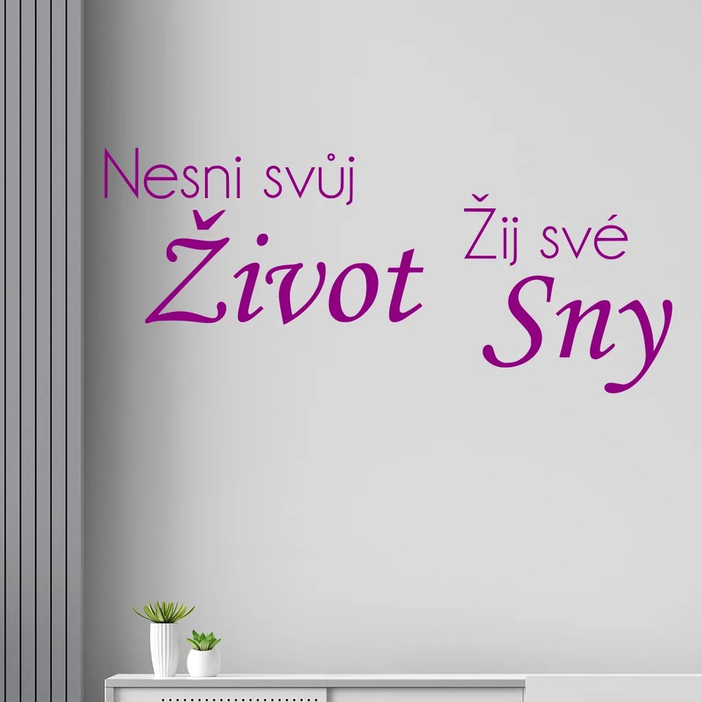 Veselá Stena Samolepka na stenu na stenu Nesnívaj svoj život, ži svoje sny Farba: čierna