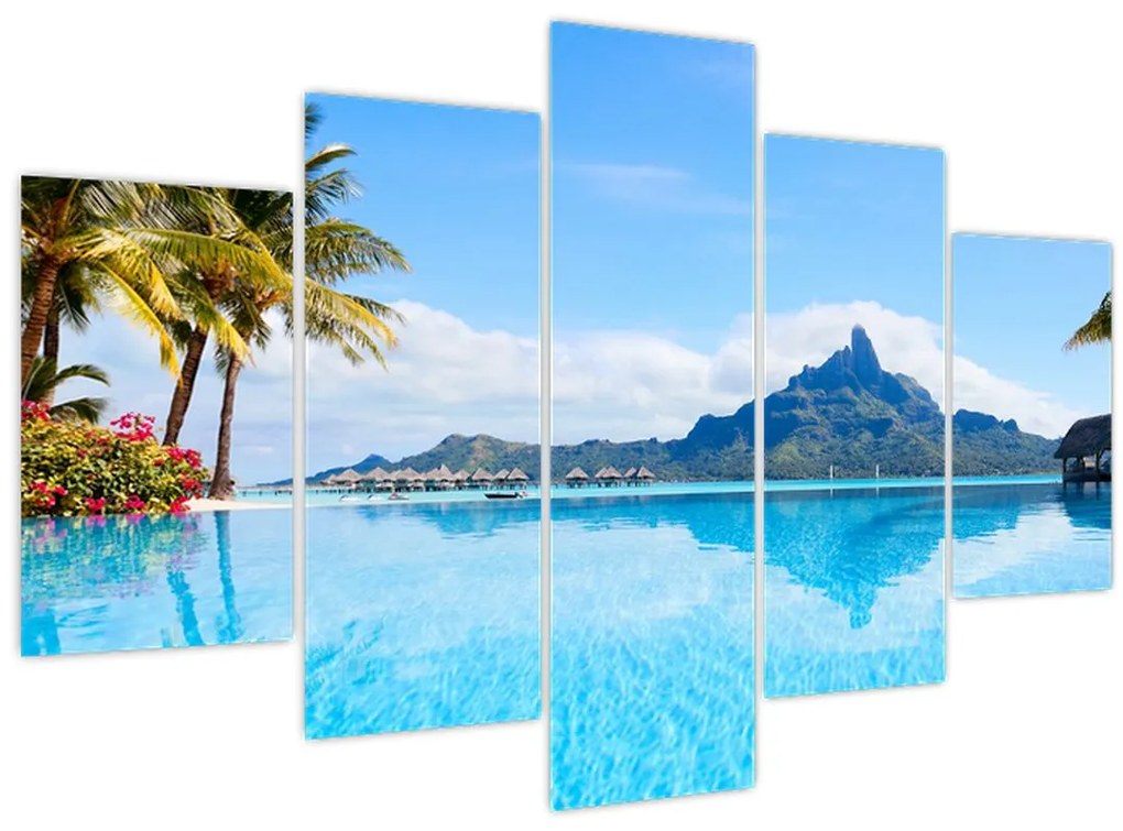 Obraz - Palmy a pláže (150x105 cm)