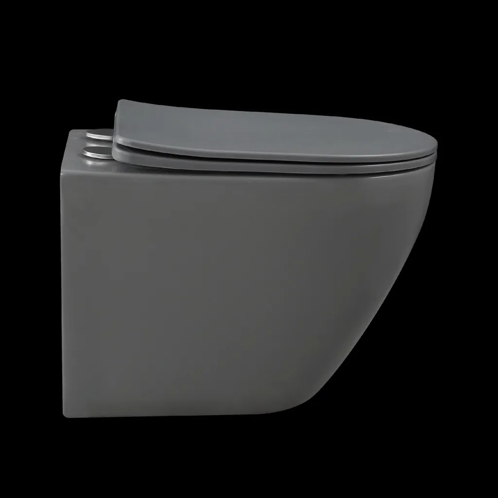 Invena Tavro, závesná misa 490x360x350 mm + WC sedadlo, QFS, šedá, INV-CE-71-007-Y