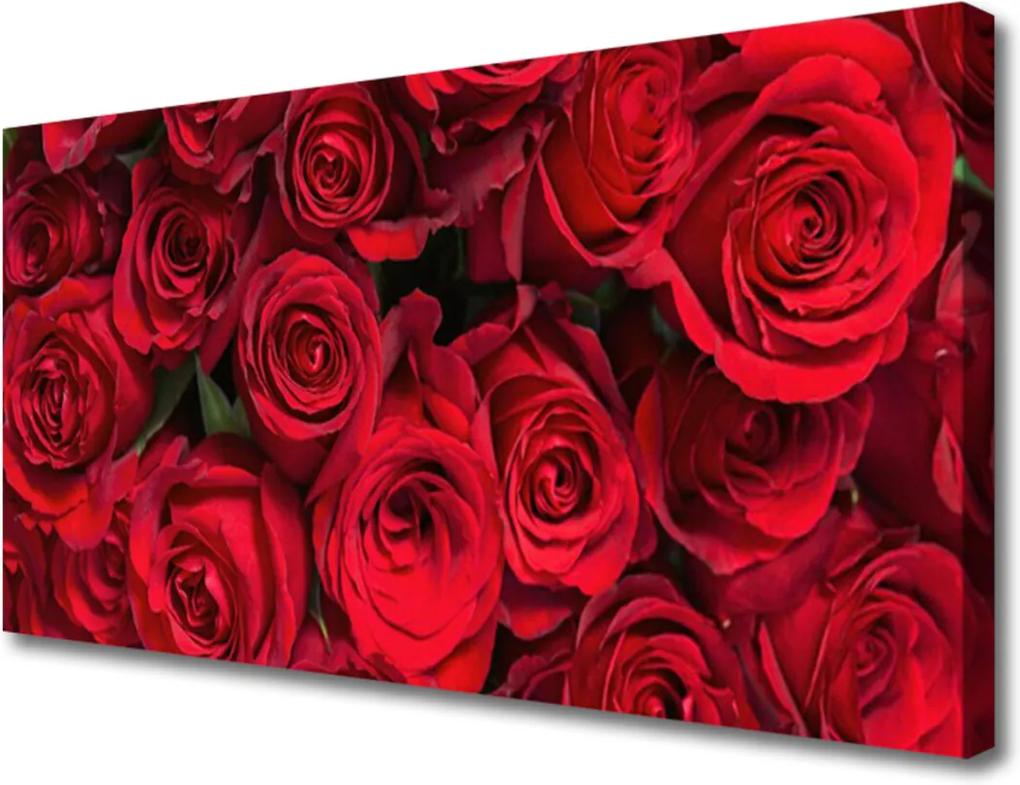 Obraz Canvas Červené Ruže Kvety Príroda