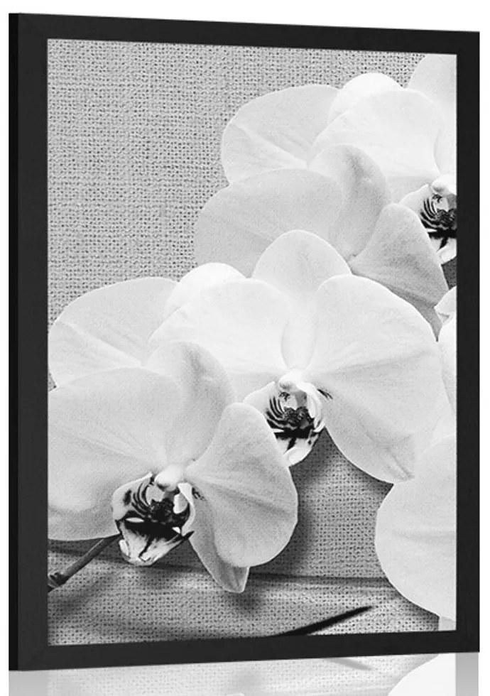 Plagát orchidea na plátne v čiernobielom prevedení - 60x90 black