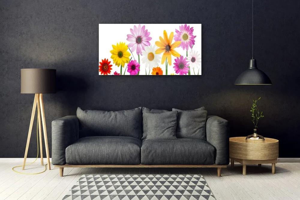 Skleneny obraz Farebné kvety príroda 100x50 cm
