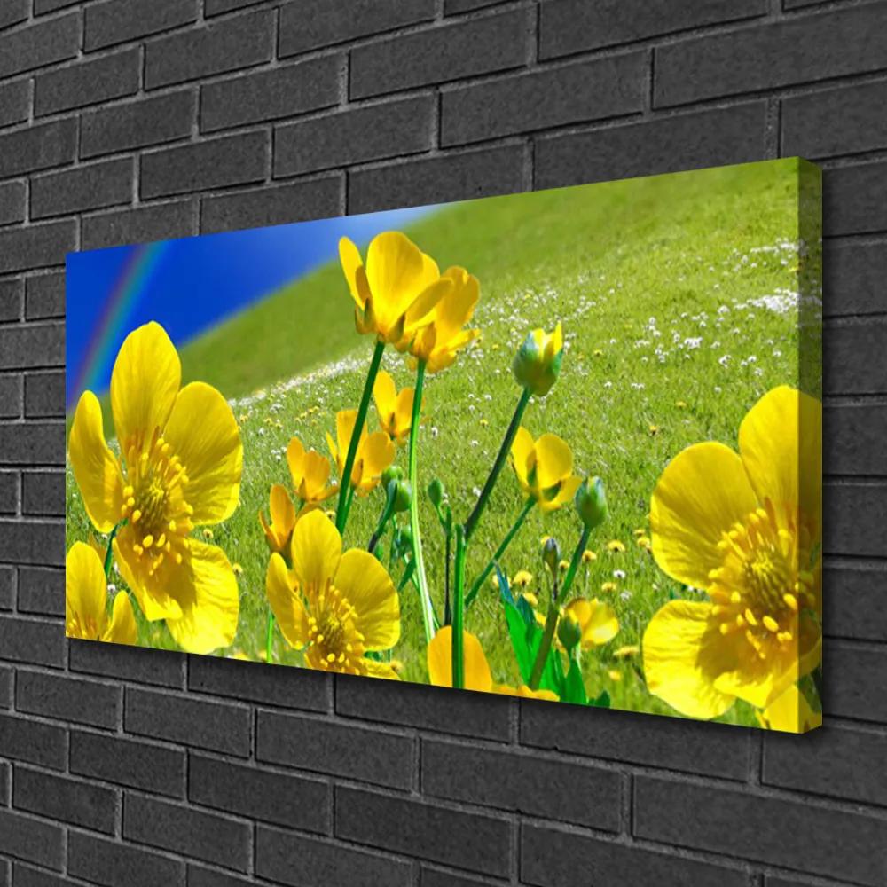 Obraz na plátne Lúka kvety dúha príroda 140x70 cm