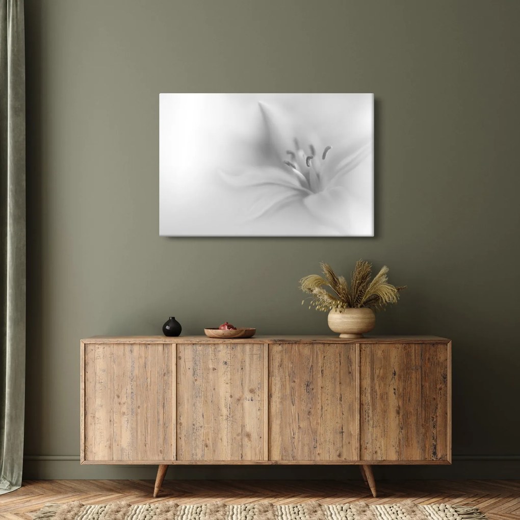 Obraz - Jemná ľalia (90x60 cm)