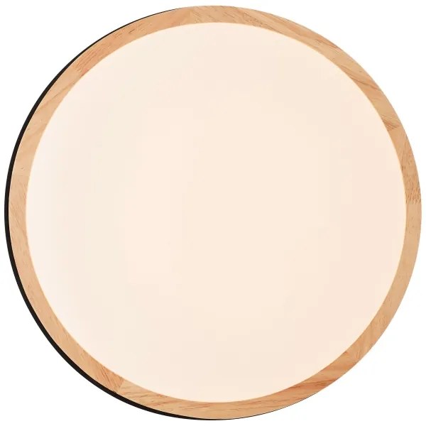 Brilliant - LED St. stropné svietidlo BAARLO LED/24W/230V pr. 35 cm čierna