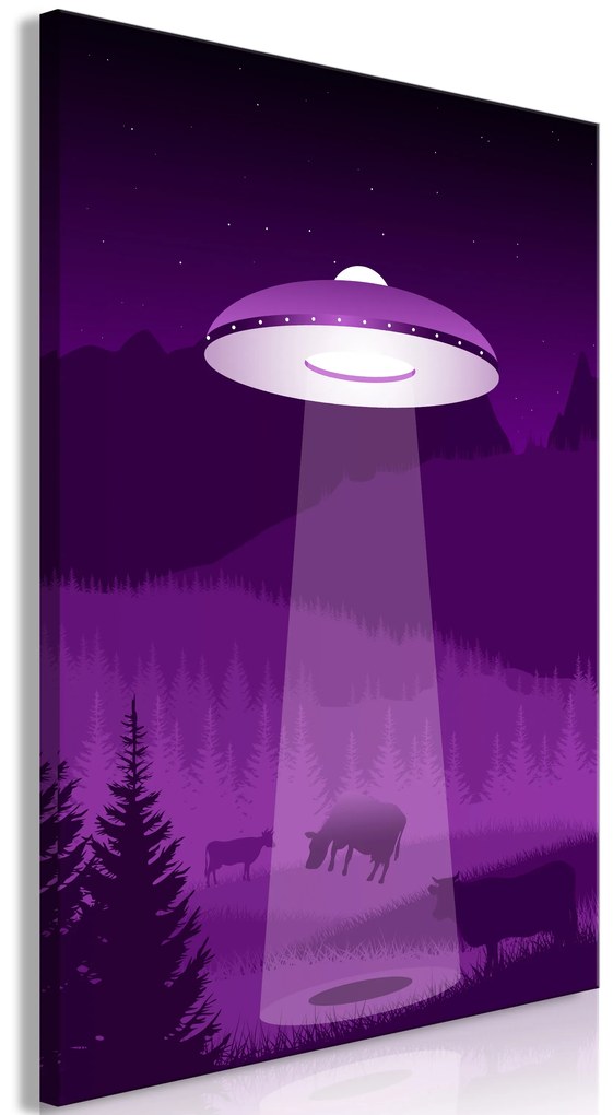 Artgeist Obraz - Ufo (1 Part) Vertical Veľkosť: 20x30, Verzia: Premium Print