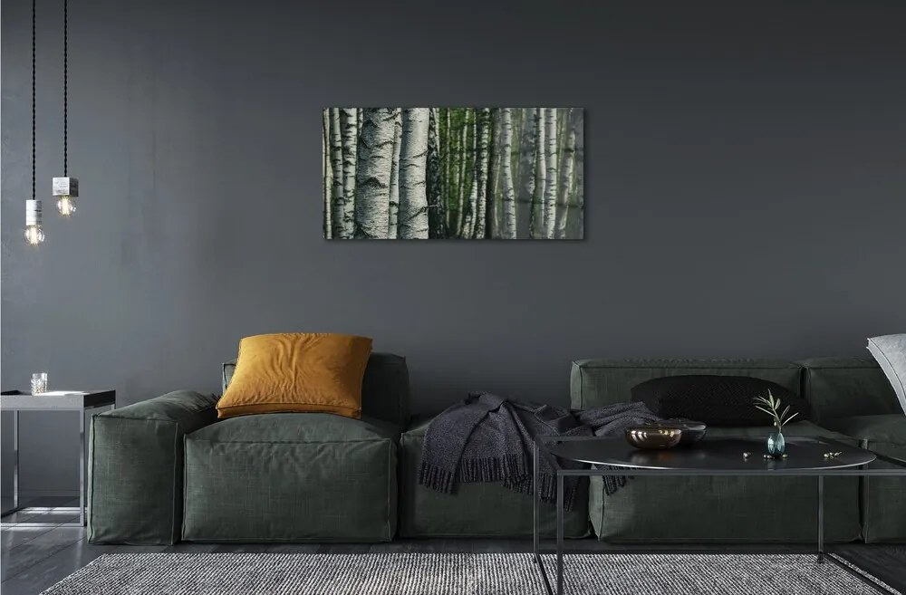 Sklenený obraz brezového lesa 125x50 cm