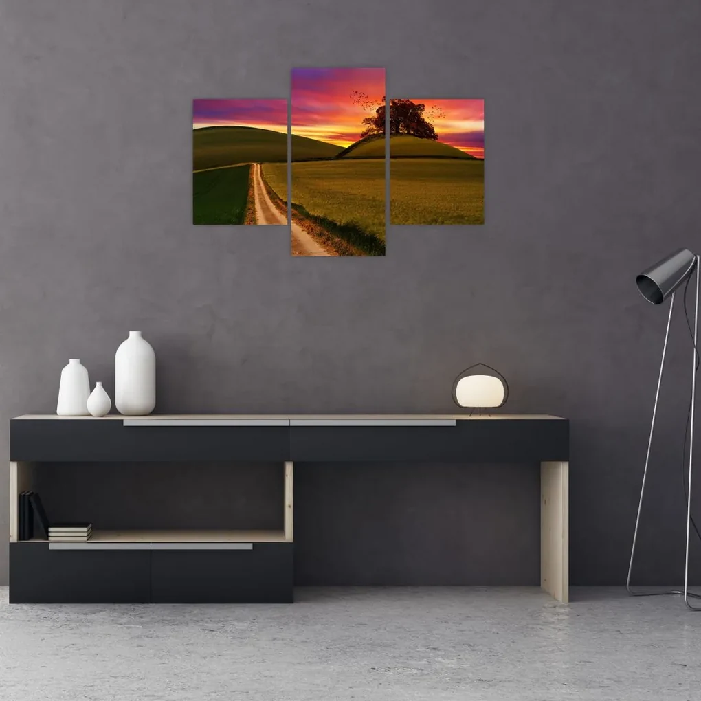 Obraz poľa pri západe slnka (90x60 cm)