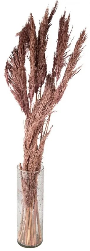 Ružová kytica sušené kvety bambusu Bamboo - 100 cm (10ks)