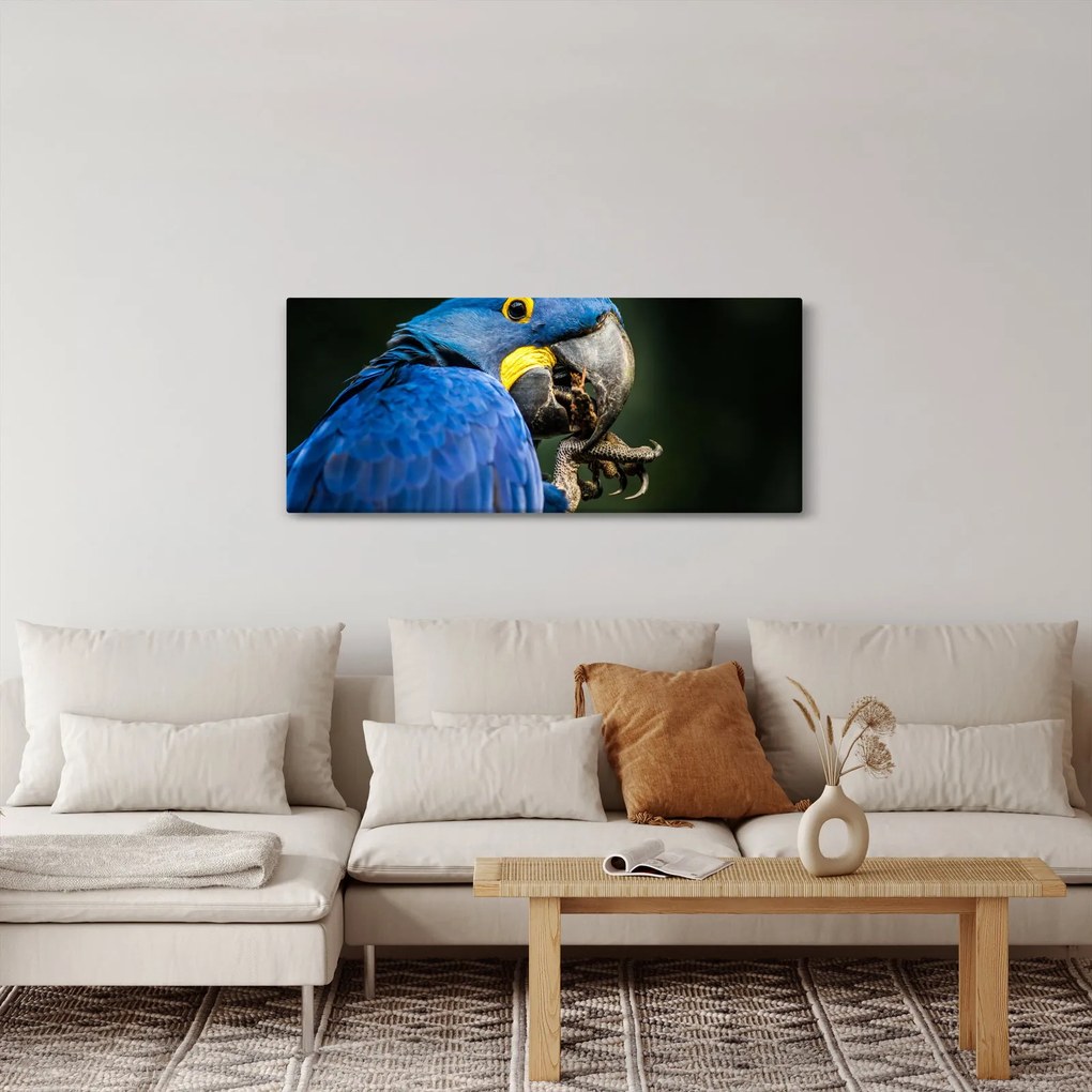 Obraz papagája (120x50 cm)
