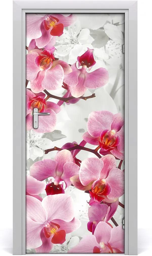 Fototapeta na dvere  ružová orchidea