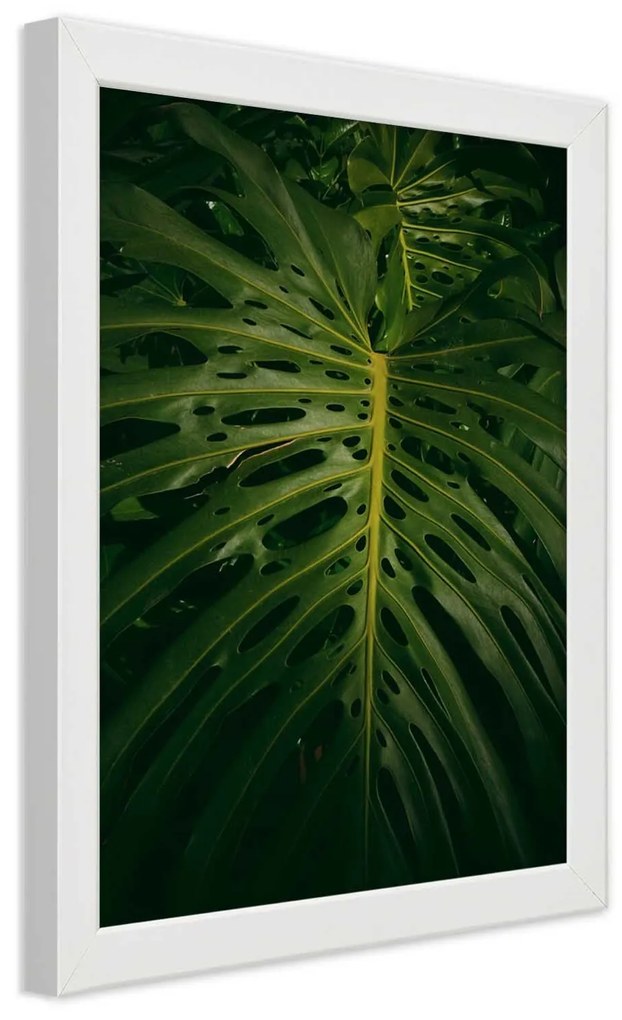 Gario Plagát Monstera - list z prírody Farba rámu: Bez rámu, Rozmery: 70 x 100 cm