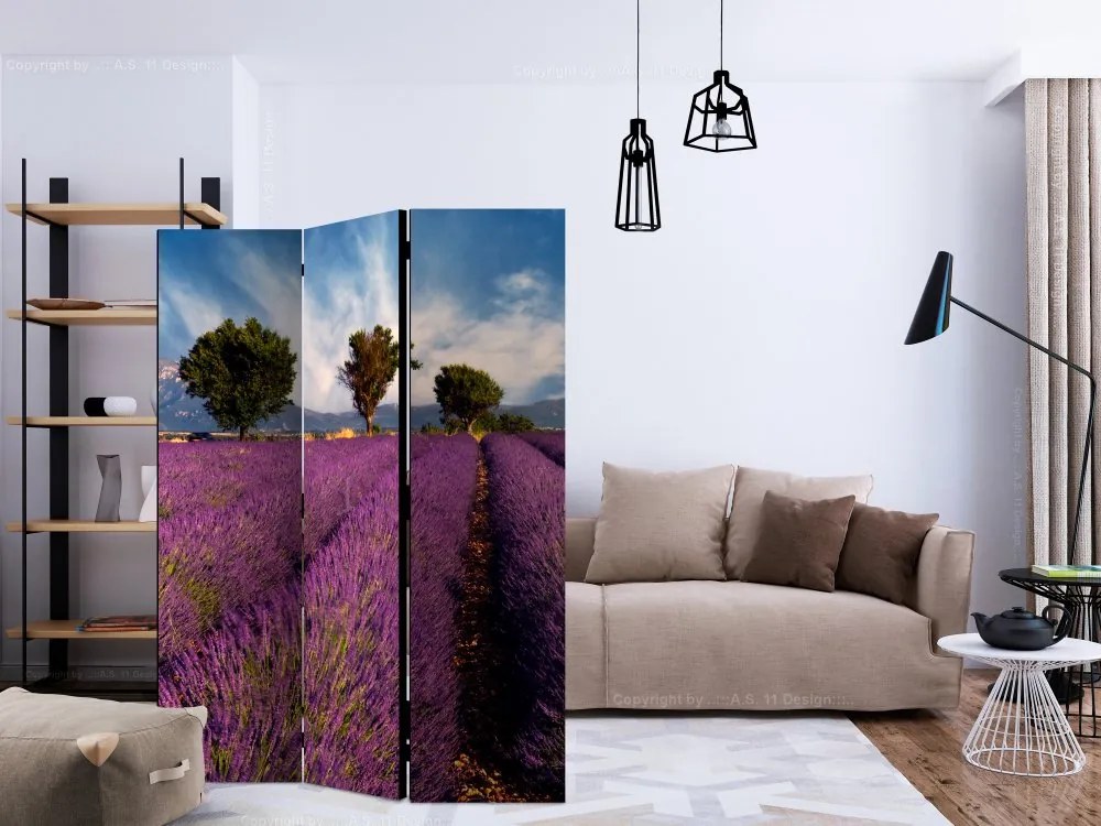 Artgeist Paraván - Lavender field in Provence, France [Room Dividers]