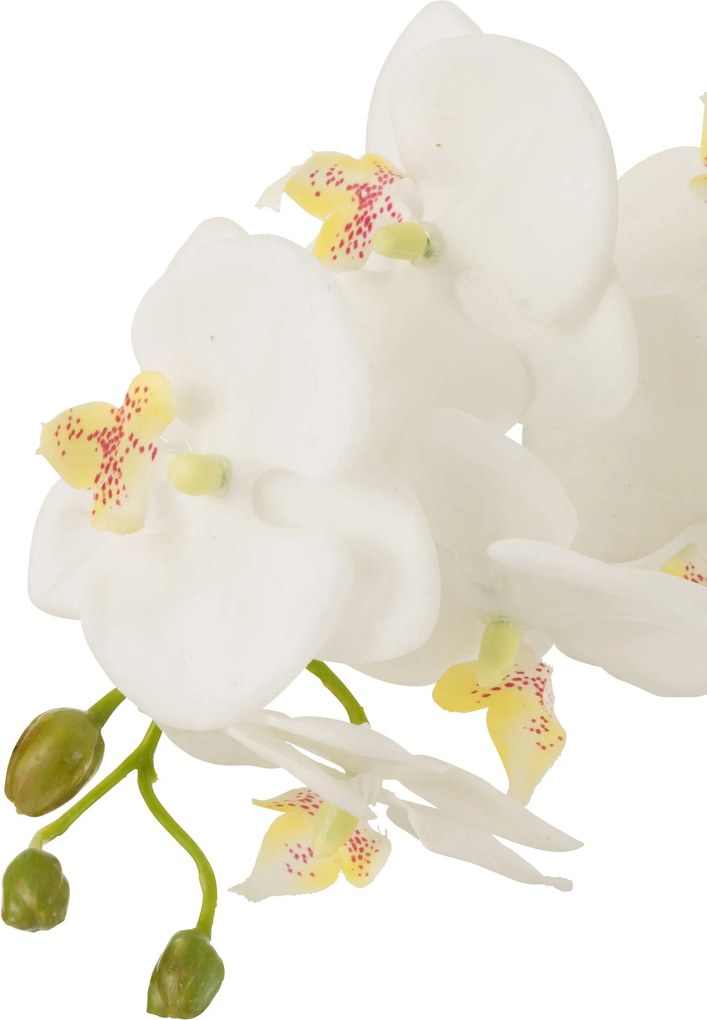 Dekorácia umelá kvetina Orchidea s koreňmi a machom - 32*32*75 cm