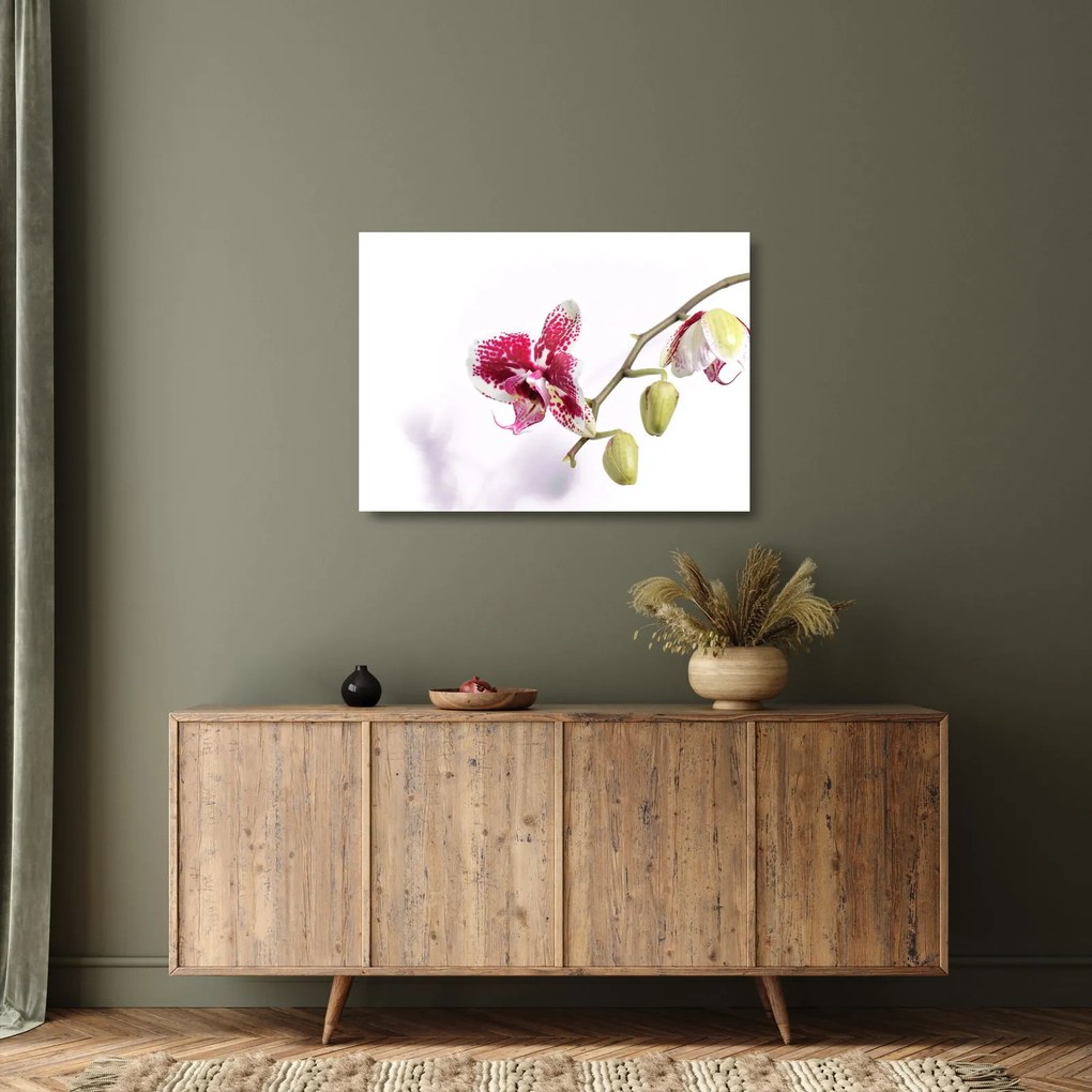 Sklenený obraz kvetu orchidey (70x50 cm)
