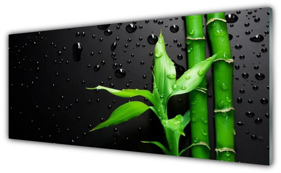 Obraz na akrylátovom skle Bambus listy rastlina 125x50 cm
