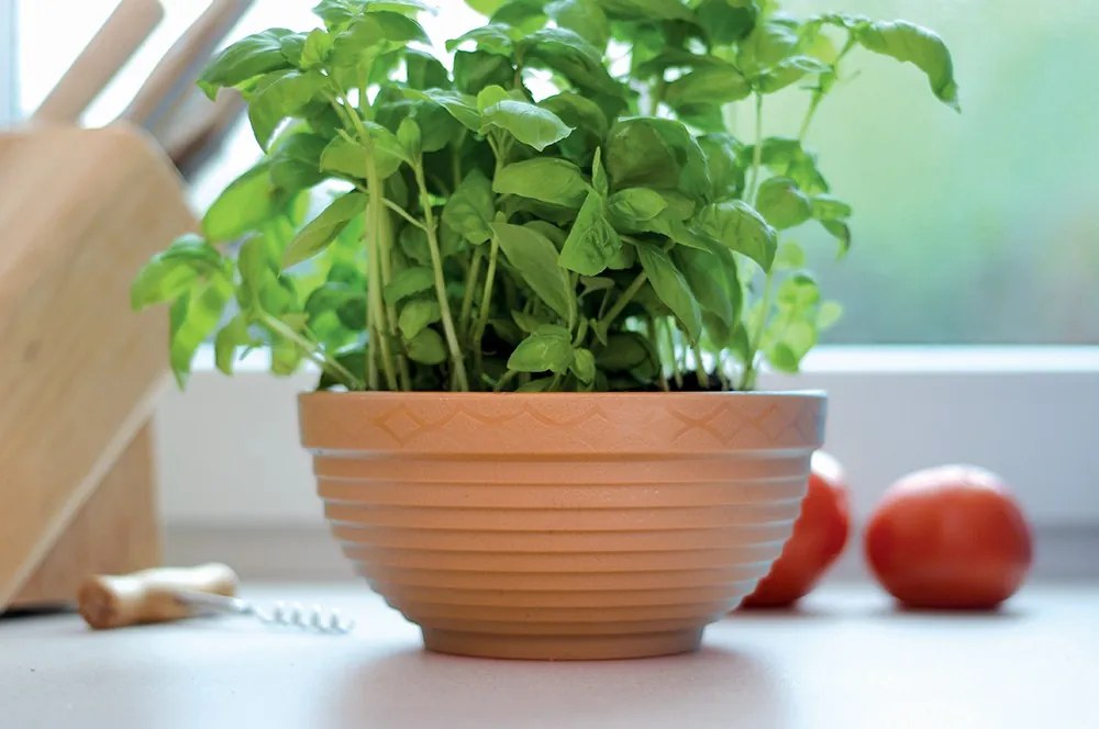 Dekoratívny kvetináč MISAS terakota