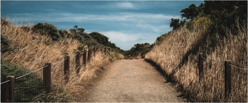Obraz - Na chodníku (120x50 cm)