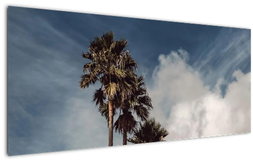 Obraz - Palmová dráma (120x50 cm)