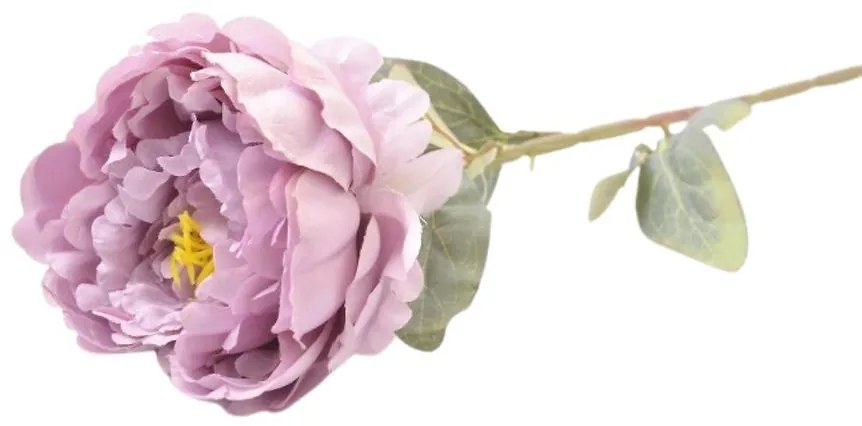 Paeonia 74cm ľaliová A2010682