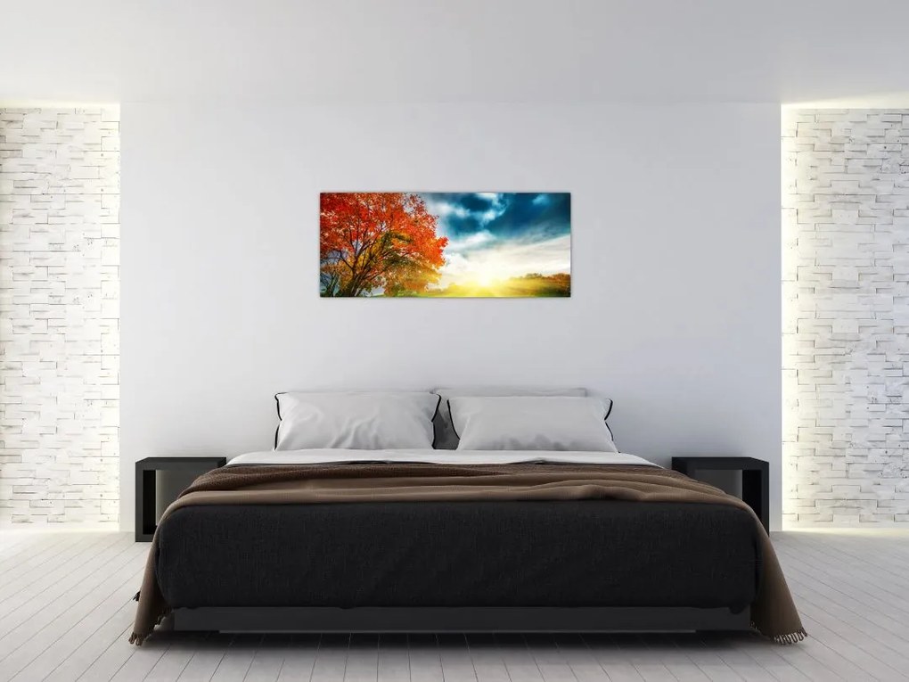Obraz krajiny zaliate slnečným svitom (120x50 cm)