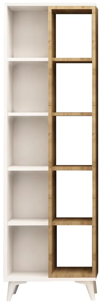 Knižnica Enzamu