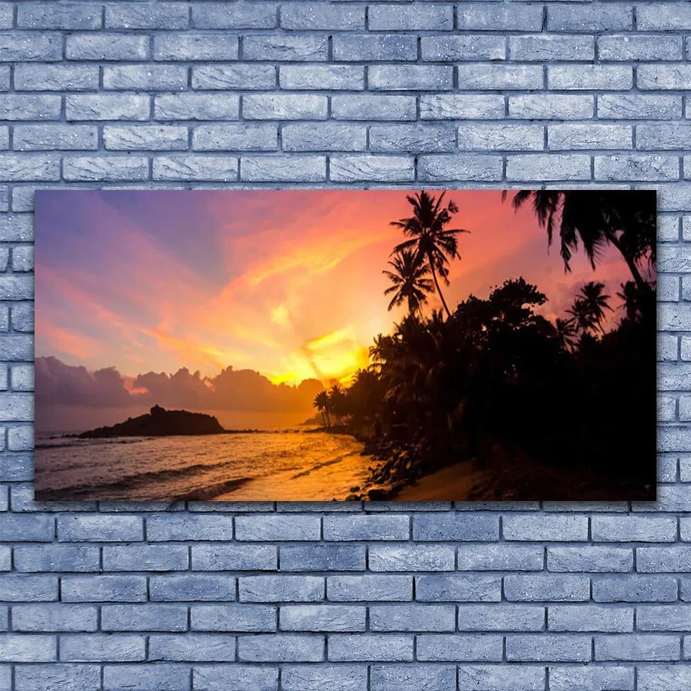 Obraz plexi More slnko palmy krajina 120x60 cm