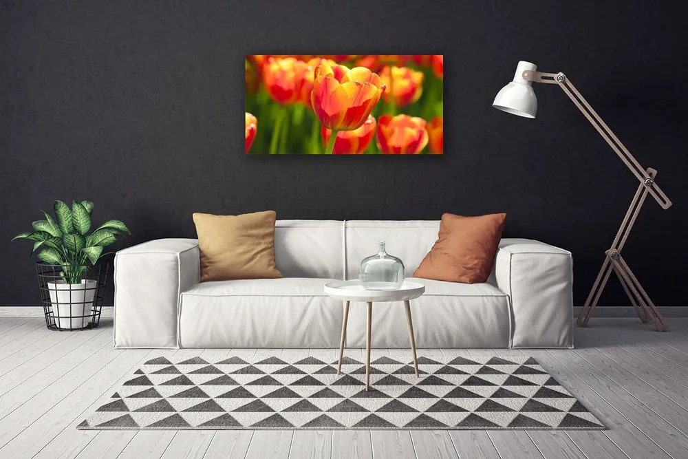 Obraz Canvas Tulipány kvety rastlina 100x50 cm